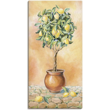 розмір: 40l x 20b см