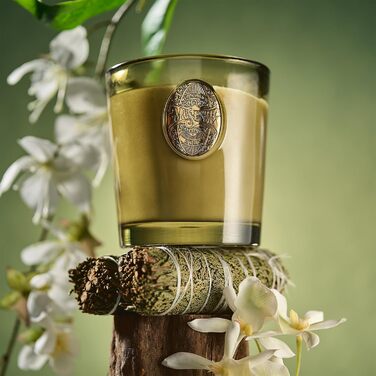 Ароматна свічка M&SENSE Лісова хатина, ароматичні свічки у склянці, натуральна соєва свічка, час горіння 55 годин, подарункові свічки для жінок та чоловіків, подарункова свічка (сандалове дерево та жасмин, 260 г)