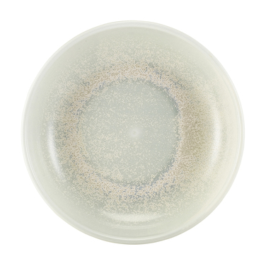 Миска глибока кругла 23*h 6 см, 1300 мл, Terra Porcelain Pearl, GenWare