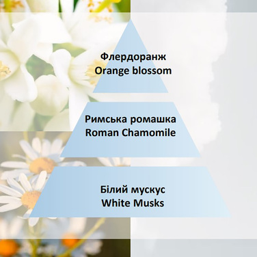 Диффузор для автівки Maison Berger Paris с ароматом COZY MUSK