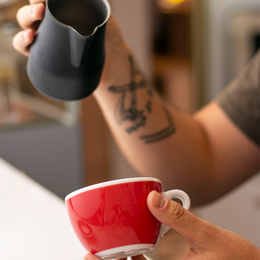 36649 Чашка cappuccino large 260 мл Red Decal Print серія 'Verona Millecolori'