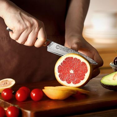 Дамаський ніж Sunnecko 20 см Кухонний ніж шеф-кухаря - гострий ніж з дамаської сталі, кухонний ніж з ергономічною ручкою