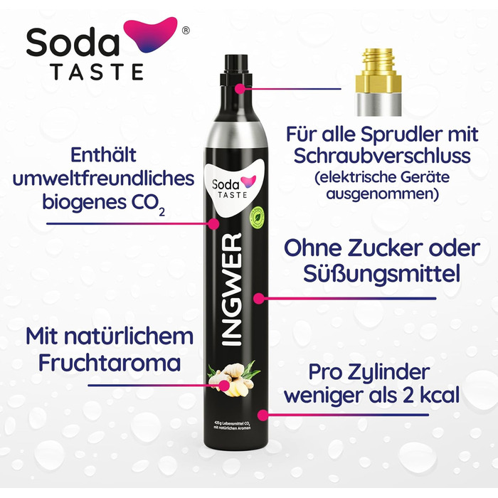 Набір із 2 змінних балонів CO2 SodaTASTE (змінний) для газованок, з натуральним м&39ятним смаком, без сиропу, для приготування до 120 л ароматизованої газованої води, без цукру (УВАГА потрібні 2 порожні балони) (Імбир)