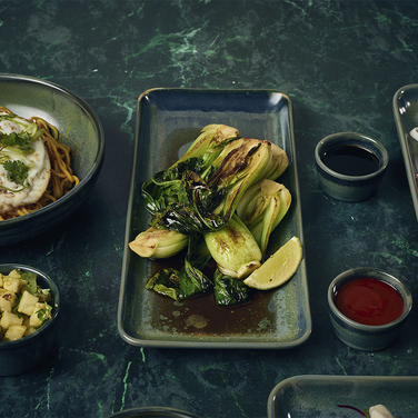 Блюдо прямоугольное 31*14 см, зеленое, Terra Porcelain Aqua Green, GenWare