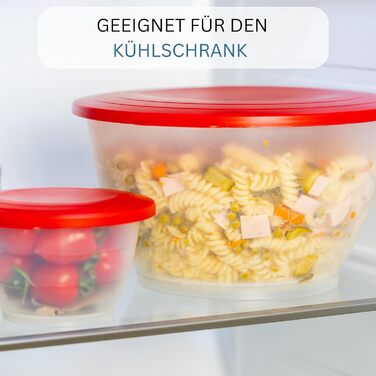 Набор чаш Westmark, 4 чаши с крышками и ситом/ситечком, 9 шт., емкость 0,6/1,3/2,5/4,4 литра, пластик, без бисфенола А, Olympia, цвет прозрачный/ 2420226A (набор из 3 шт., красный)