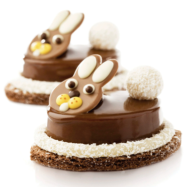 SF111/C Форма из резины