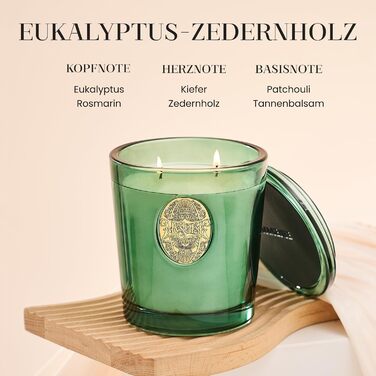 Ароматна свічка M&SENSE Лісова хатина, ароматичні свічки у склянці, натуральна соєва свічка, час горіння 55 годин, подарункові свічки для жінок та чоловіків, подарункова свічка (евкаліптовий кедр, 560 г)