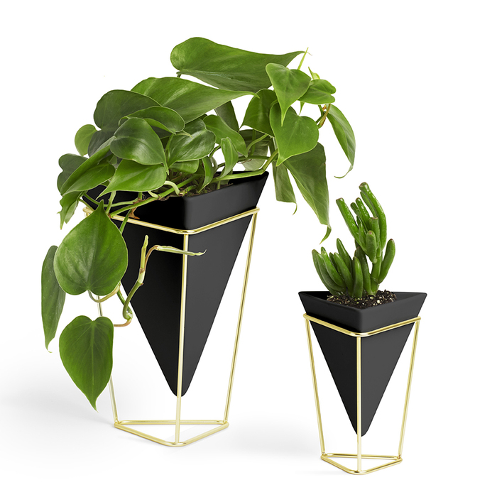 Декор настільний trigg чорний-латунь Umbra