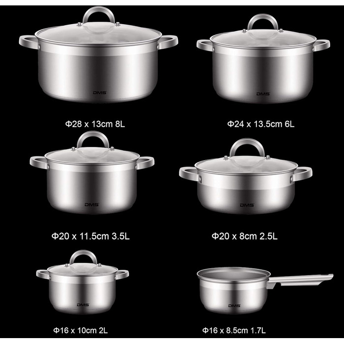 Набір каструль з нержавіючої сталі зі скляними кришками, 11 предметів DMS