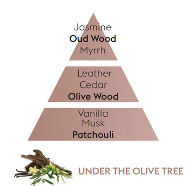 Дифузор Maison Berger Paris GEODE BLEUE, з ароматом UNDER THE OLIVE TREE, 115 мл