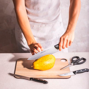 152600 Набор ножей (4 предметы)