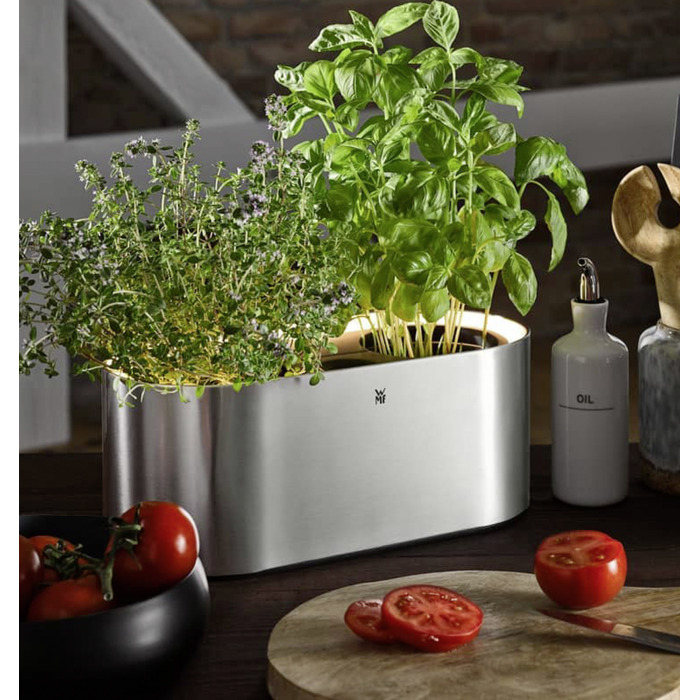 Колекція Ambient от WMF