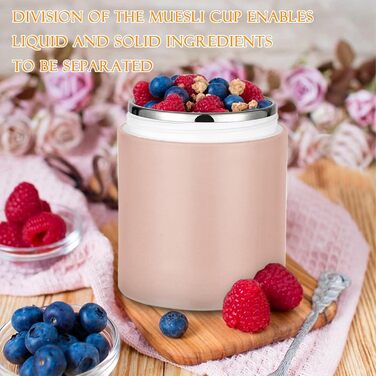 Стаканчик для пластівців Chedin з кришкою, стаканчик для каші з нержавіючої сталі 730 мл, герметичний стаканчик для йогурту з ложкою та кришкою, двошарові герметичні банки для консервування, ідеально підходять для роботи (рожевий зелений)