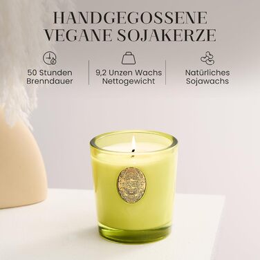 Ароматна свічка M&SENSE Forest Cabin, Ароматизовані свічки у склянці, Натуральна соєва свічка, Час горіння 55 годин, Подарункові свічки для жінок та чоловіків, Подарункова свічка (Сіетлський тропічний ліс, 260 г)