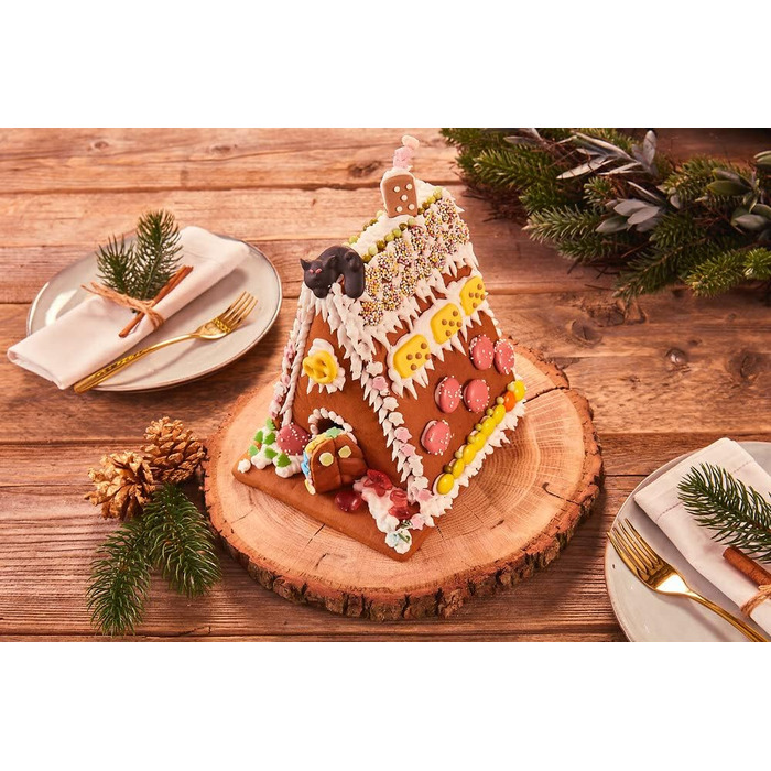 Пряниковий будиночок для творчості та декорування до різдвяного сезону 403 г Dr. Oetker