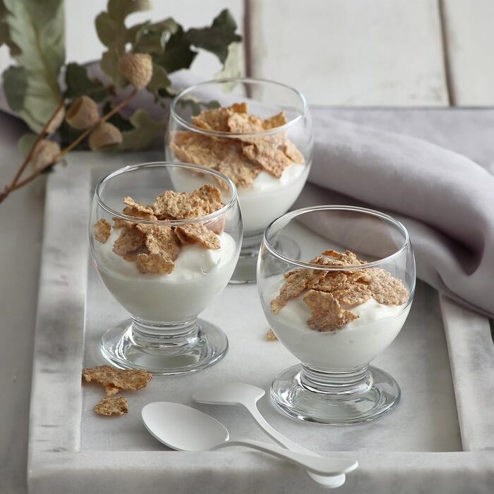 Набір креманок для мороженого 6 шт. 250 мл NORDIC SCHILLER