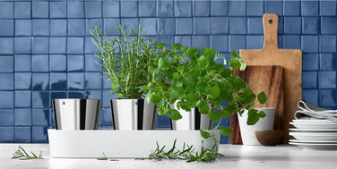 Gourmet WMF от WMF