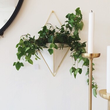 Декор для стін 22х38х12 см білий / латунь Trigg Umbra