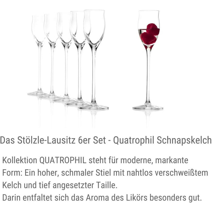 Набір із 6 чарок з ніжкою 65 мл, Quatrophil Stölzle Lausitz