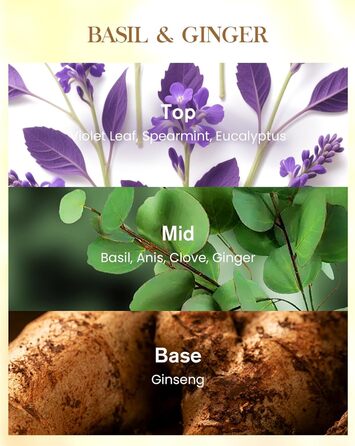 Ароматична свічка M&SENSE надзвичайно велика, час горіння 150 годин, натуральна ароматерапевтична свічка з 3 гнітами, сильний аромат, тривале горіння, подарункова свічка та прикраса для дому, подарунки для жінок (990 г, базилік-імбир)