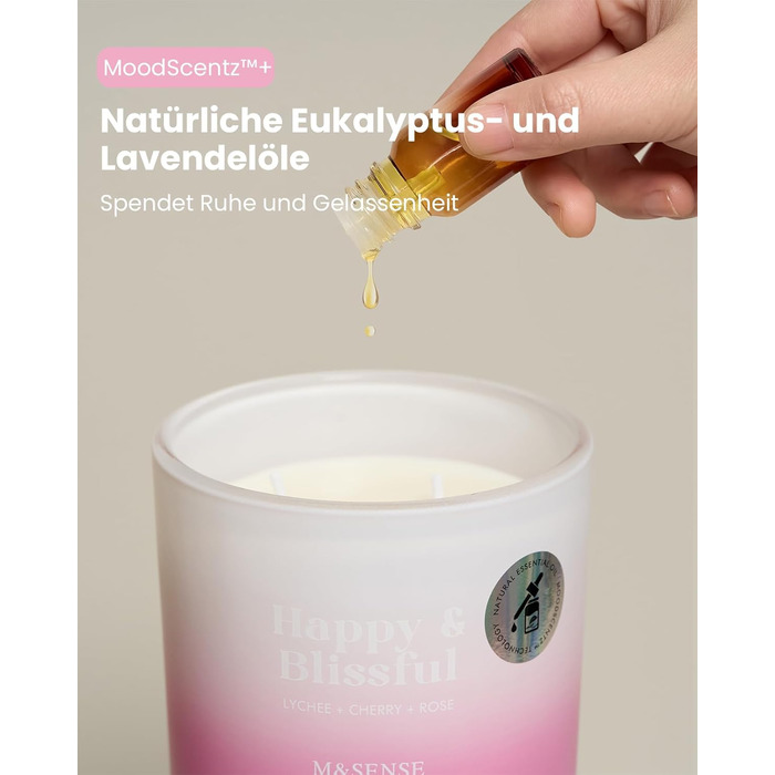 Ароматичні свічки M&SENSE Сосна та кедр у банці, велика соєва свічка 400 г з двома гнітами, час горіння 80 годин, ароматерапевтична свічка для йоги, спа та медитації. Подарунок для дівчини, дружини чи матері. Сосна та кедр (лічі, вишня та троянда)