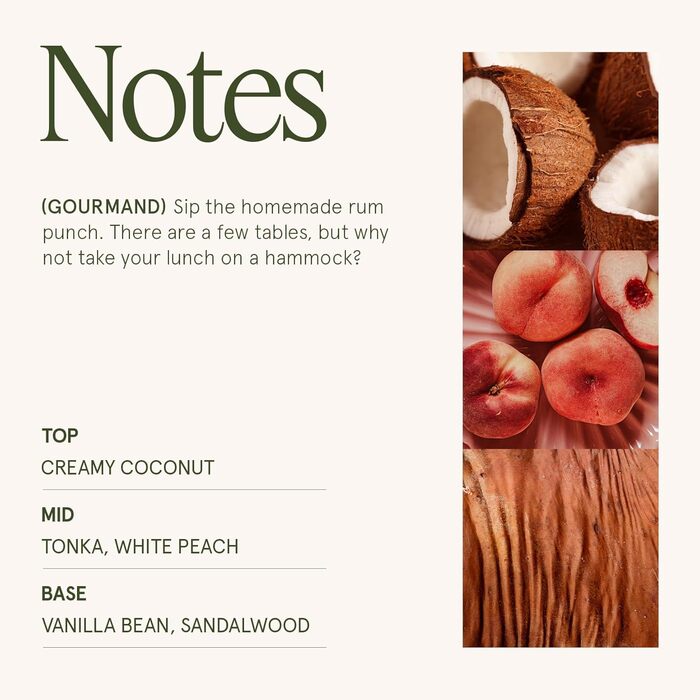 Ароматна свічка La Jole Muse у скляній свічці, подарунок для жінок, ароматичні свічки з сандаловим деревом для дому, час горіння 55 годин, 170 г. (острівний кокос)