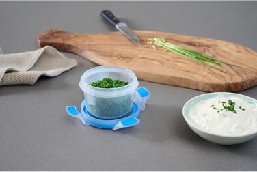 Набір контейнерів для зберігання продуктів EMSA Clip & Close, прямокутні, 5 x 0,8 л, коробки для зберігання, 100 герметичні, придатні для миття в посудомийній машині, морозильної камери та мікрохвильової печі, прозорі, сині, зроблені в Німеччині, N10307 (