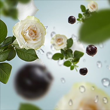 Картридж для дифузора для автівки Maison Berger Paris з ароматом OCEAN BREEZE, 2 шт.