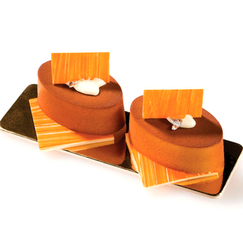 SF111/C Форма из резины