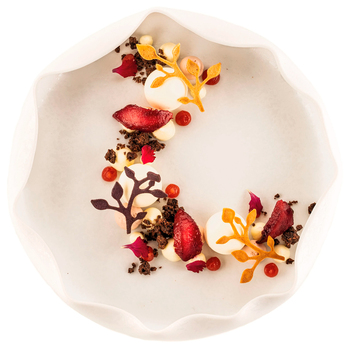 EDEN Форма из резины