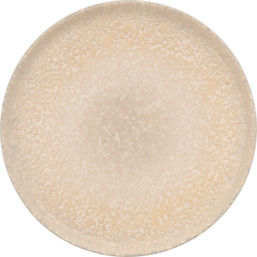 Тарілка мілка (низький борт) Ariane Rave 25 см DSEARN04YB11025