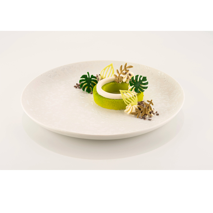 GIARDINO Форма силіконова