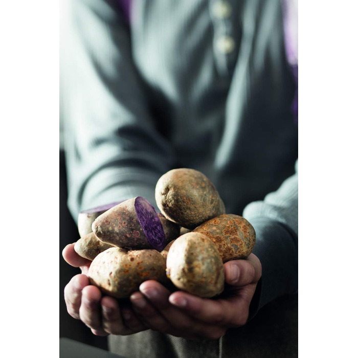 Вилка для картоплі в мундирі 17 см Rosle