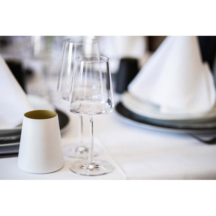 Набір з 12 келихів для червоного та білого вина, Power Stölzle Lausitz