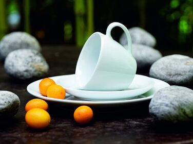 Серия Alesia, фарфоровый комбинированный сервиз 62 предмета, базовая посуда на 6 персон, идеальный стартовый набор, белый