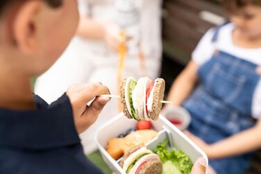 Вакуумні ланч-бокс для їжі 0,4 л Dino Zwilling