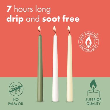 Набір з 4 конічних свічок 2,4 x 24,5 см, зелений Essentials Bolsius