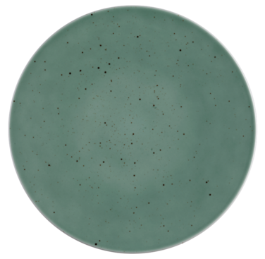 Тарілка плоска 30 см Country Life Petrol Coup Fine Dining Seltmann