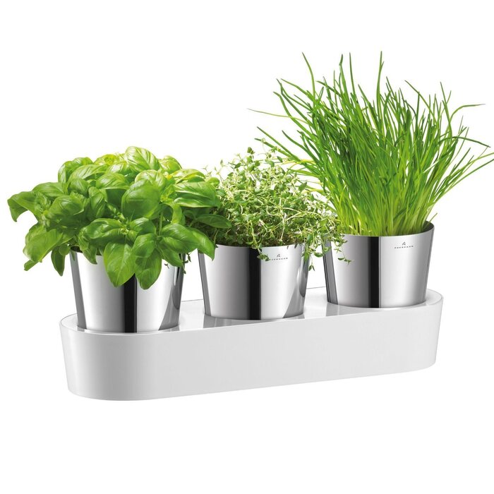 Набір горщиків з автополивом, 4 предмета Gourmet WMF