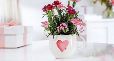 Колекція With Love