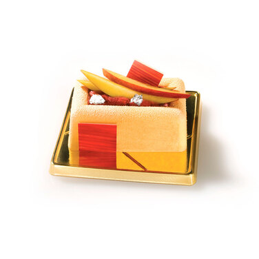 SF090/C Форма из резины