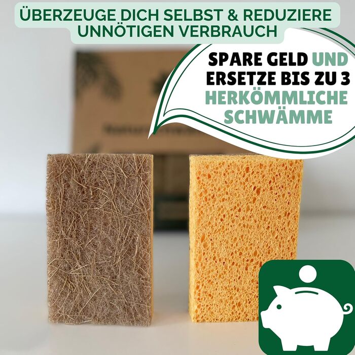 Набір із 6 екологічна губка для посуду з кокосовим скребкома Protea