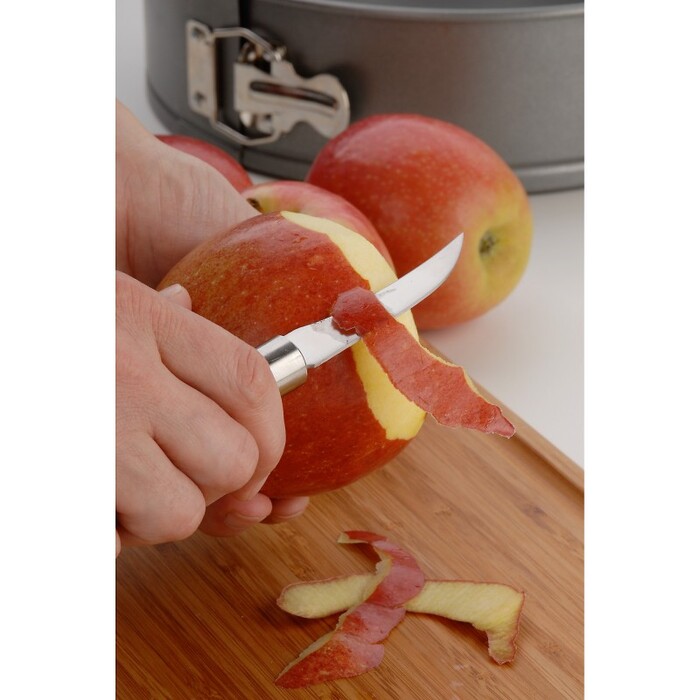 Ніж для карвінгу 6 см Profi Plus WMF