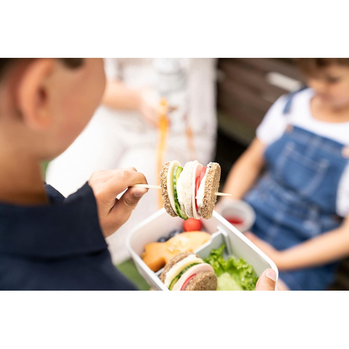 Вакуумні ланч-бокс для їжі 0,4 л Dino Zwilling