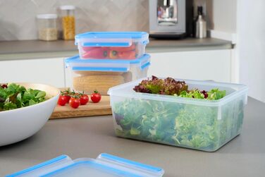 Набір контейнерів для зберігання продуктів EMSA Clip & Close, прямокутні, 5 x 0,8 л, коробки для зберігання, 100 герметичні, придатні для миття в посудомийній машині, морозильної камери та мікрохвильової печі, прозорі, сині, зроблені в Німеччині, N10307 (