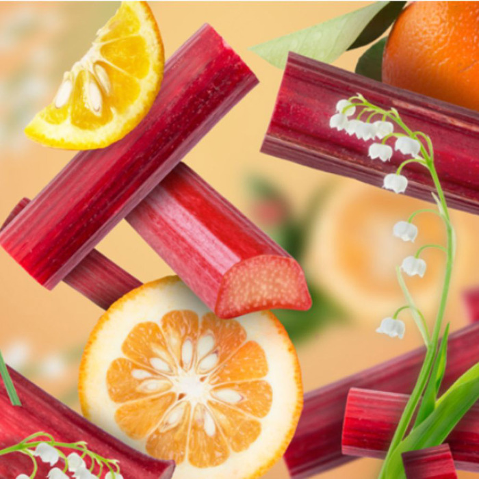 Дифузор Maison Berger Paris ICE CUBE, з ароматом RHUBARB RADIANCE, 125 мл