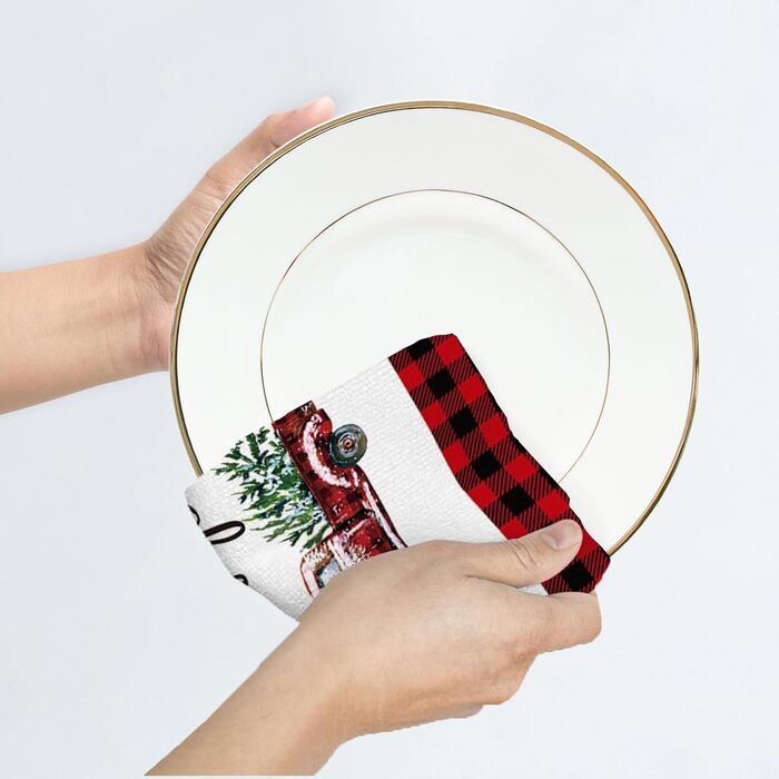 Набір з 2 різдвяних кухонних рушників 43 x 66 см DHRUTI