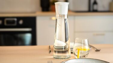 Скляний графин з кришкою та 4 фільтрами 1 л Wessper