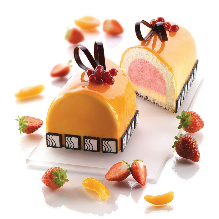 TOR250x80/1 Форма из резины