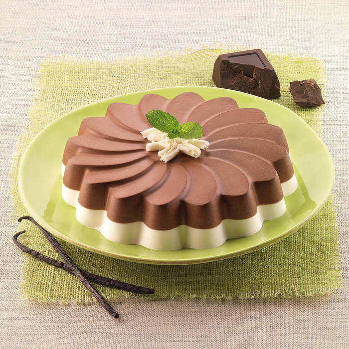 SFT220/C Форма из резины